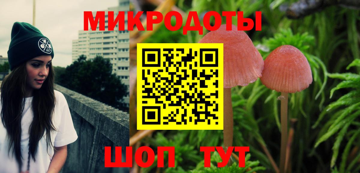 Приморско-Ахтарск  Галлюциногенные грибы Cubensis  Псилоцибиновые грибы Psilocybine cubensis  Вход с VPN 