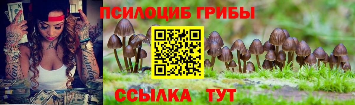 Псилоцибиновые грибы Psilocybe Приморско-Ахтарск